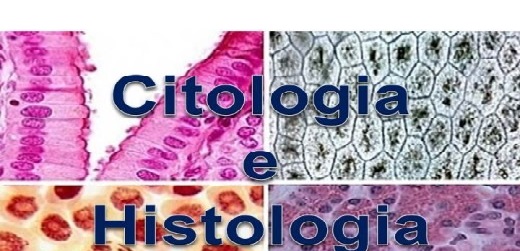 CITOLOGÍA E HISTOLOGÍA - P5379-TEÓRICO-E0017-09-N01