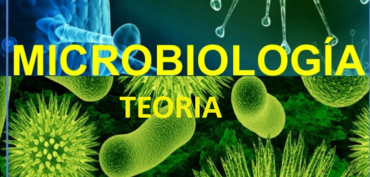 MICROBIOLOGÍA - P5411-TEÓRICO-E0069-09-N02